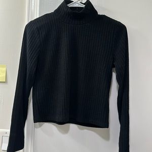 aritzia ribbed turtleneck sweater